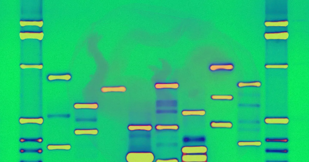 Une Start-up de Test ADN Affirme Pouvoir Identifier les Embryons à Potentiel Intellectuel Réduit.