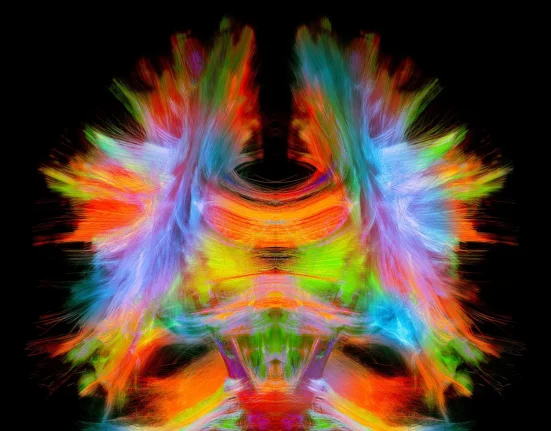 À l'Invisible Révélé : L'Imagerie Avancée face aux Mystères du Corps Humain
