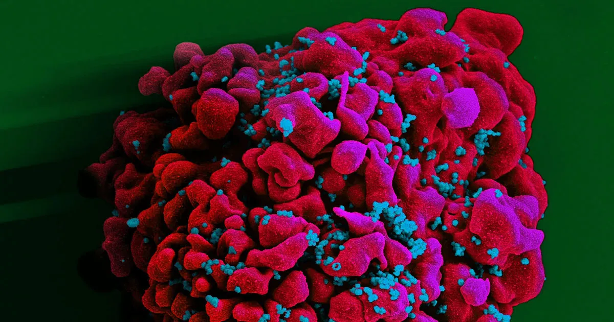 CRISPR : Une avancée révolutionnaire dans la guérison du VIH chez les animaux vivants