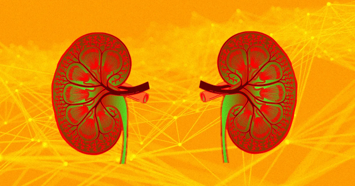 Cet "Assistant Médical IA" Prédit Les Affections Rénales Aiguës Deux Jours À L'Avance.