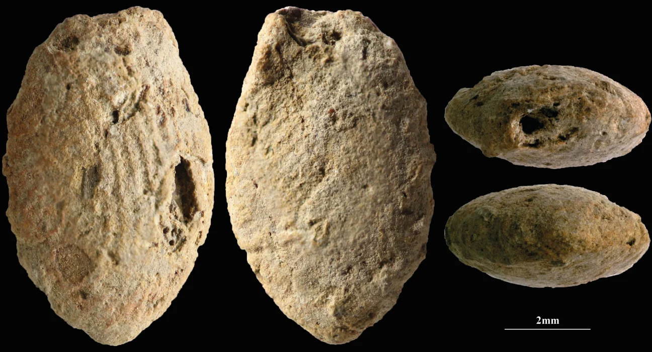 Cette découverte vieille de 15 000 ans révolutionne notre compréhension de la créativité humaine primitive.
