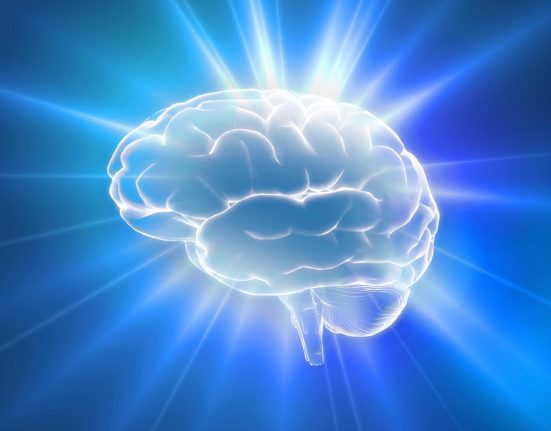 Cinq Astuces Efficaces pour Retenir Davantage et Oublier Moins.