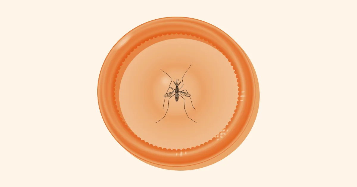 Contrôle des Moustiques : Une Solution pour Éviter des Millions de Décès