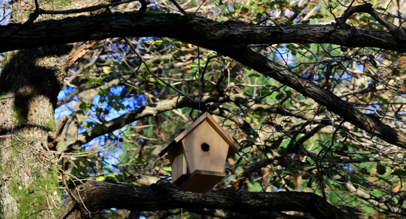 Des Nids d'Oiseaux Géants Imprimés en 3D : Une Solution Innovante pour un Problème Crucial dans les Forêts.