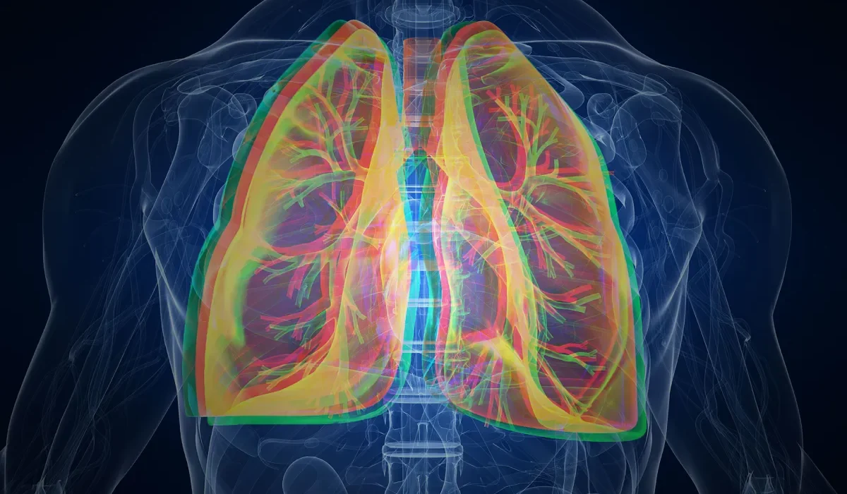 Des Organes Rénovés : Une Solution Économique pour la Liste d’Attente des Transplants