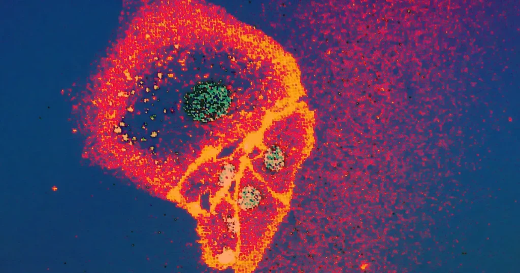 Des Scientifiques Transforment une Cellule en Ordinateur Biologique ...