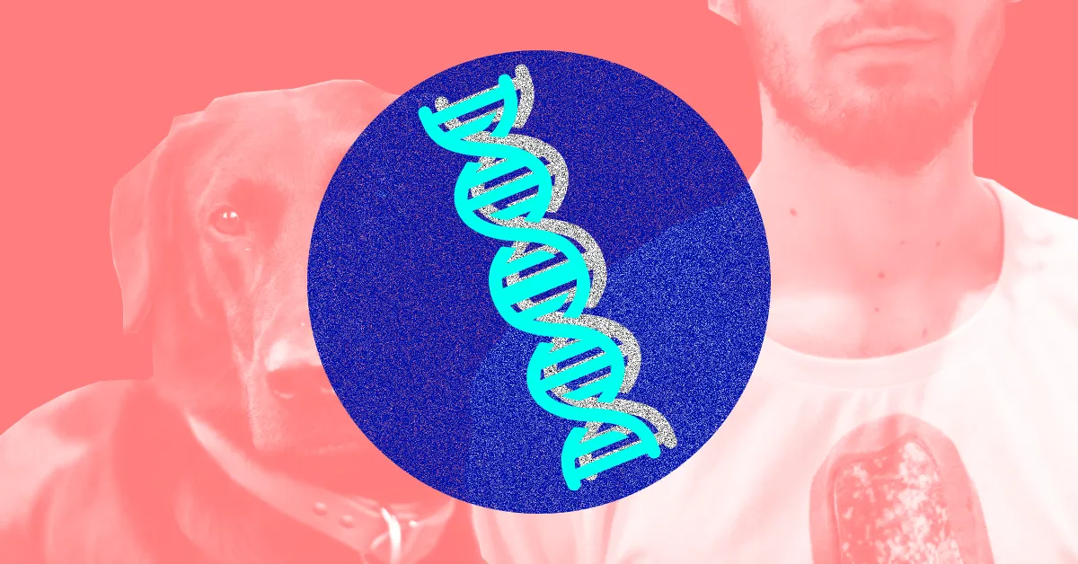 Des Tests Génétiques Incapables de Distinguer Canin et Humain