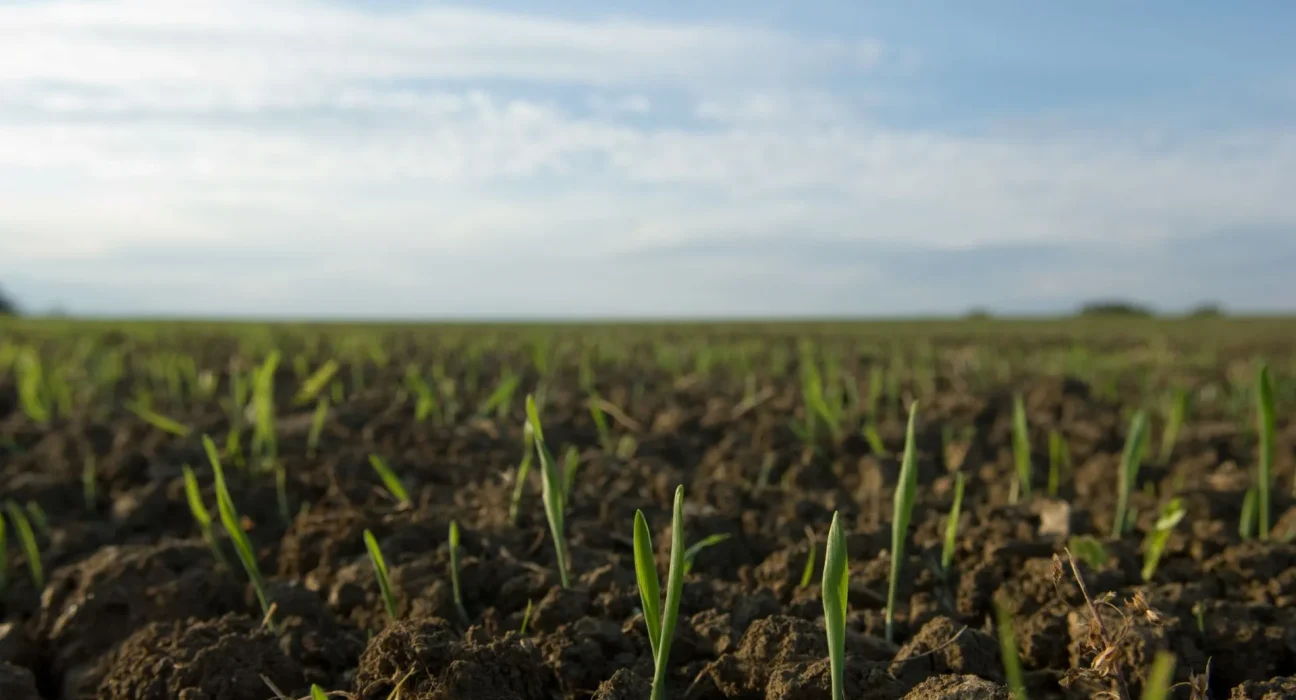 Des chercheurs expérimentent les déchets humains comme fertilisant pour les cultures : un participant sous le choc.