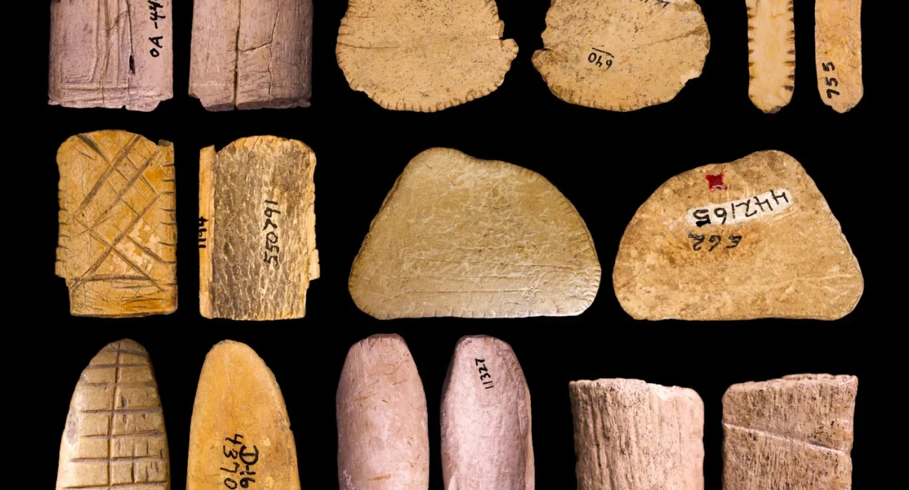 Des dés amérindiens vieux de 12 000 ans réécrivent l'histoire du jeu.
