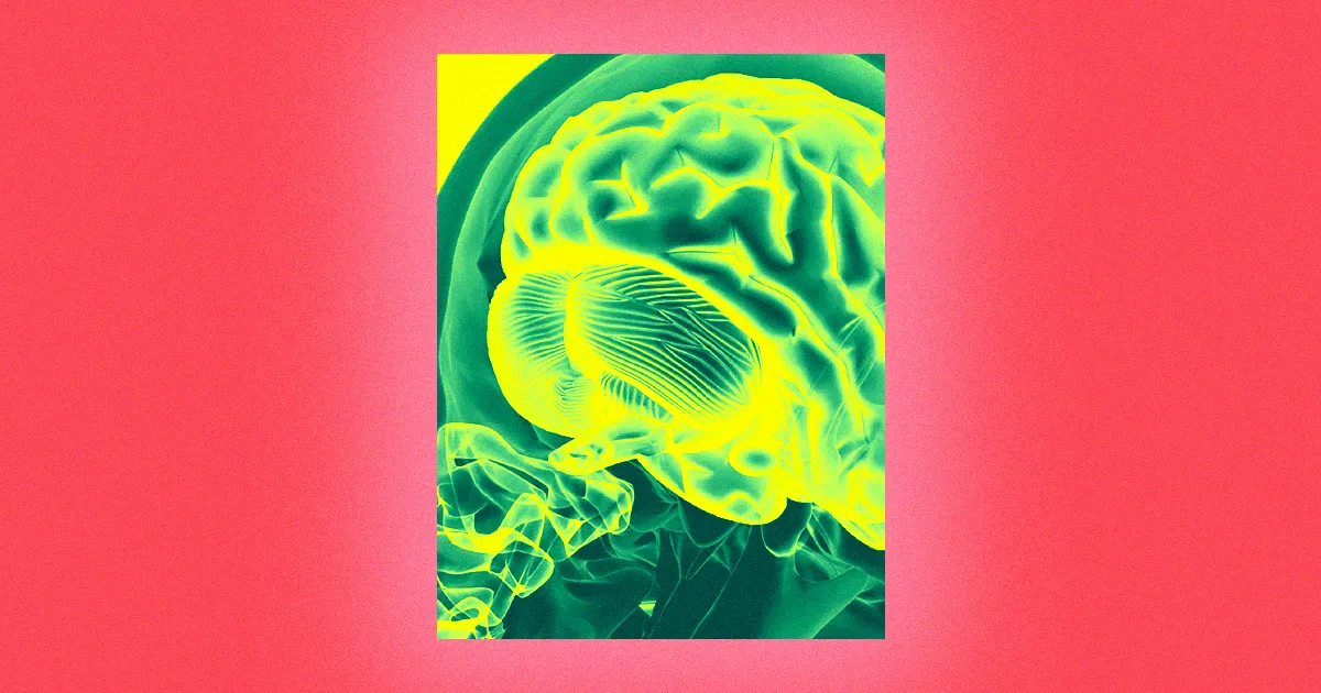 Des fenêtres sur le cerveau : les scientifiques explorent les crânes de souris.