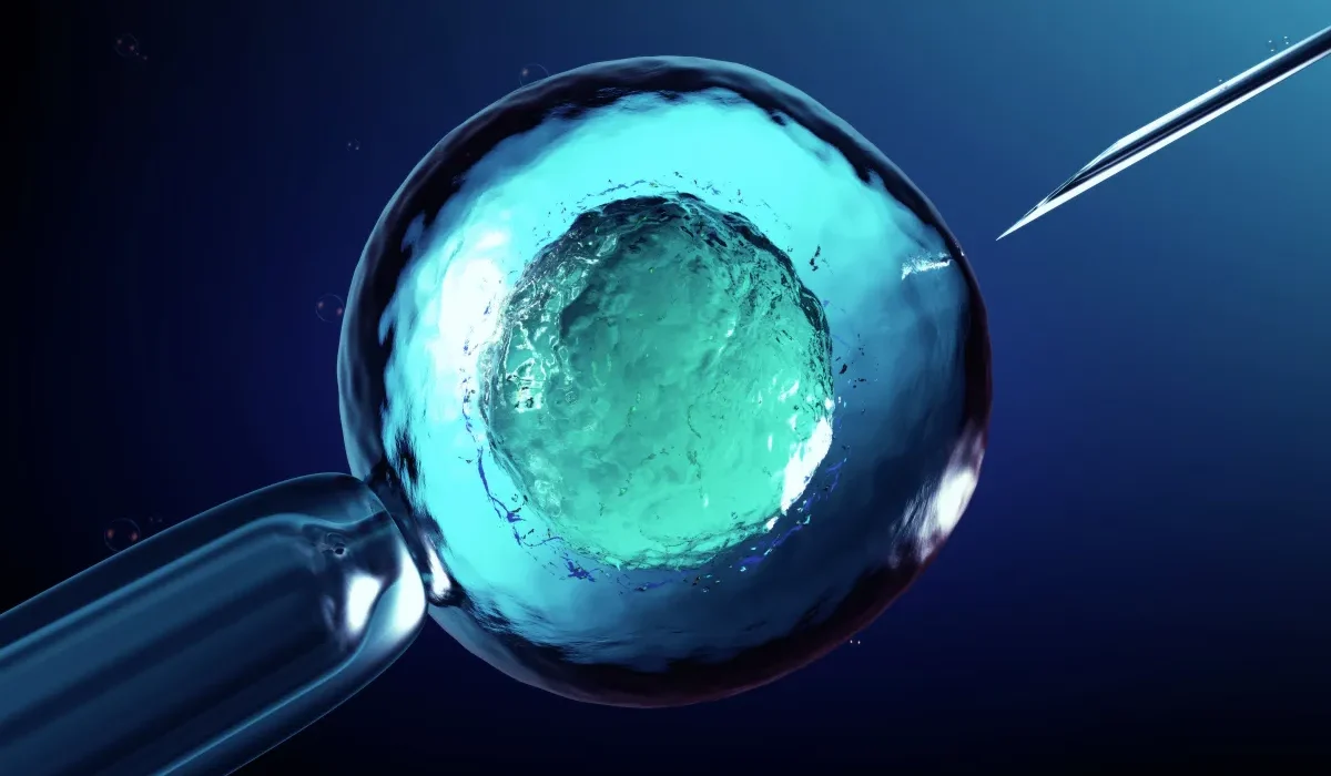Des ovules humains développés jusqu'à maturité en laboratoire pour la première fois.