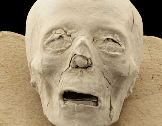 Des scientifiques découvrent les secrets enfouis de momies vieux de 2 300 ans grâce à un scanner 3D de pointe.