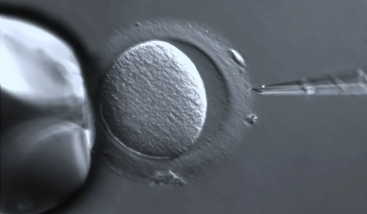 Deux Femmes Vont Bénéficier d'une Thérapie de Bébé à Trois Parents au Royaume-Uni