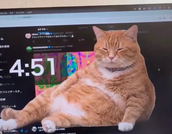 « Faites défiler sans fin et un grand chat orange apparaît à l'écran »