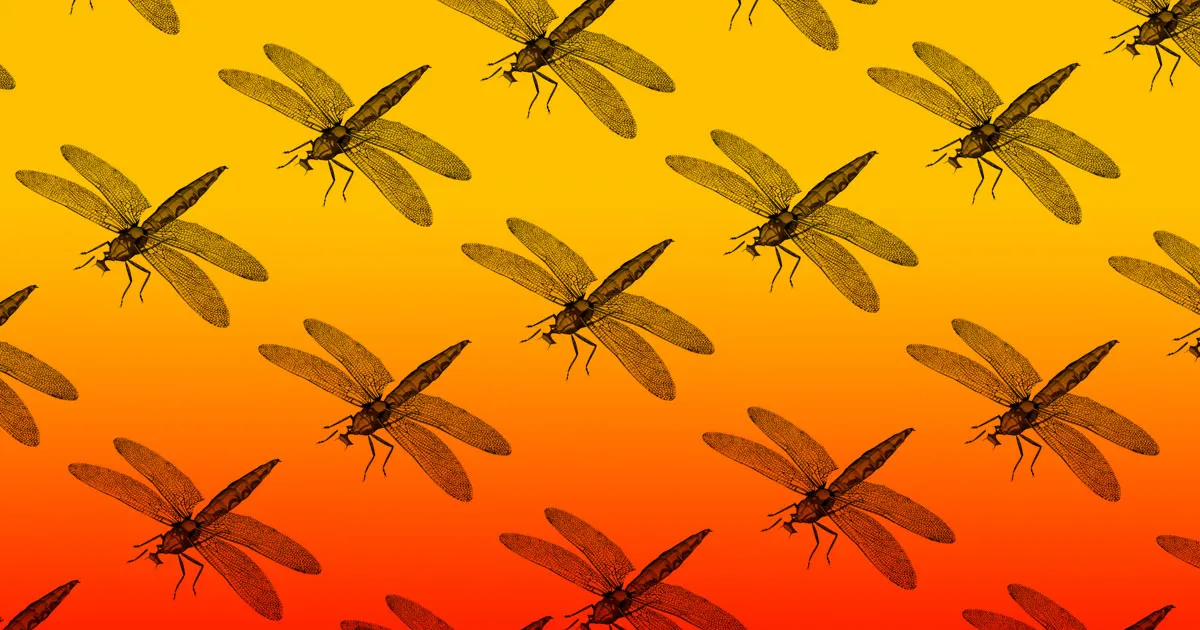 Google abandonne ses projets de moteur de recherche en Chine