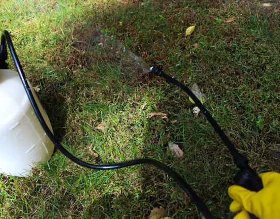 Herbicide courant associé à une hausse des cas de cancer du côlon chez les jeunes.