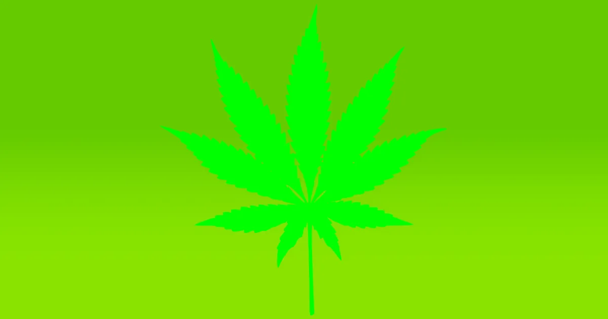 Le Récipient Scientifique : Une Efficacité à Revoir