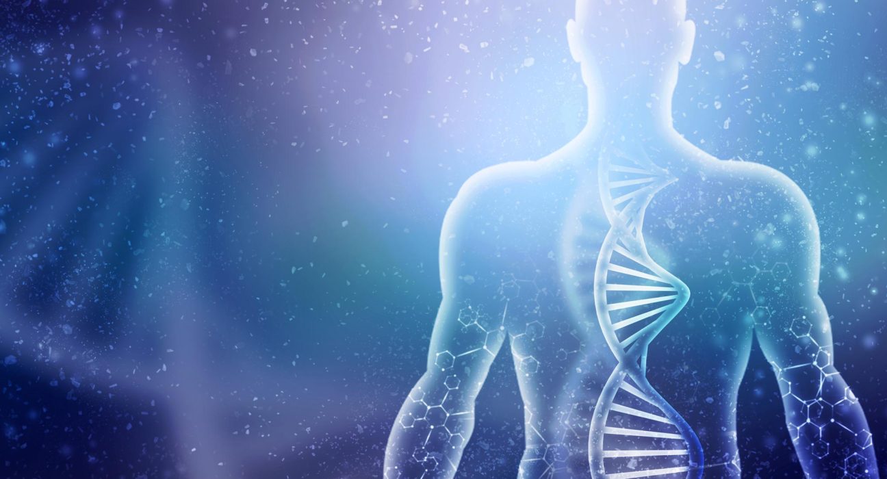 Les Humains pourront-ils Régénérer leurs Membres ? Une Nouvelle Étude Met en Lumière une Voie Génétique Prometteuse