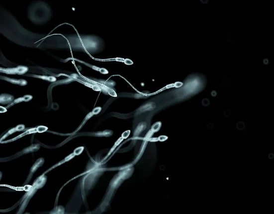 « Les "RoboSperm" : Une Révolution dans la Lutte Contre le Cancer du Col de L'Utérus ? »