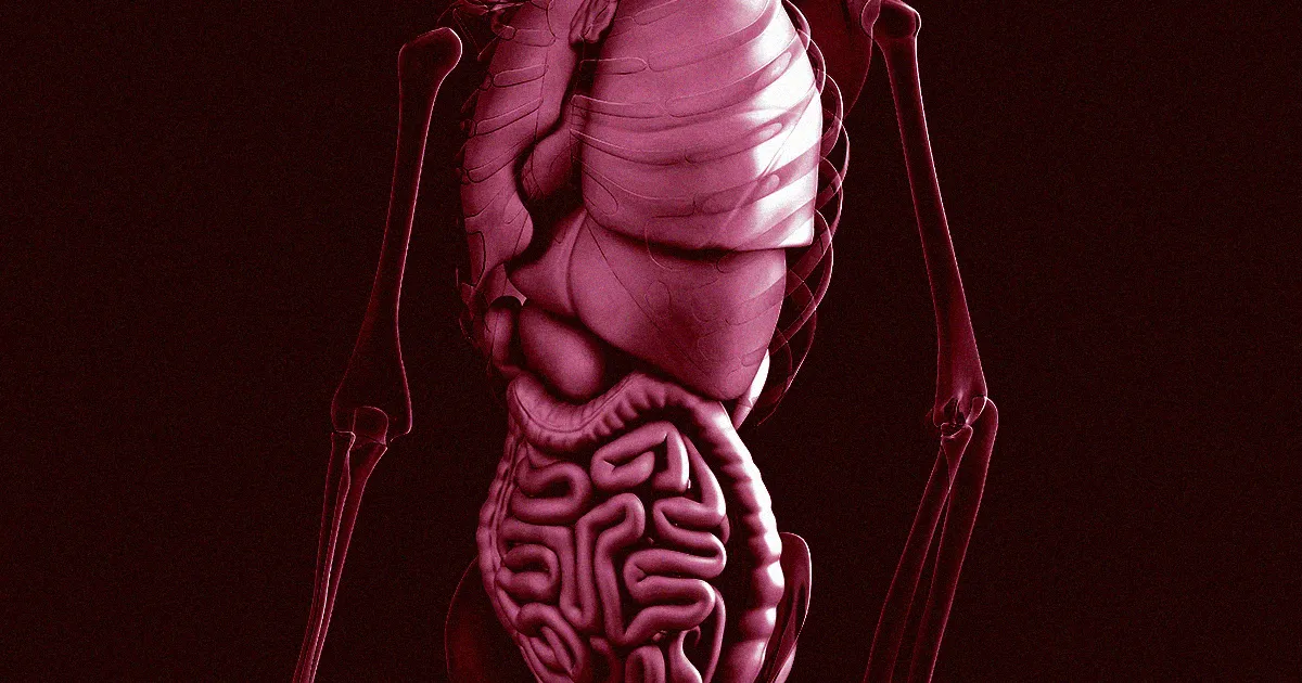 Les Transplantations Fécales : Une Solution Prometteuse pour Atténuer les Symptômes de l'Autisme sur le Long Terme.