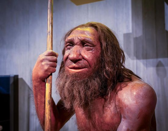 L'histoire d'amour des Néandertaliens : au-delà des apparences.