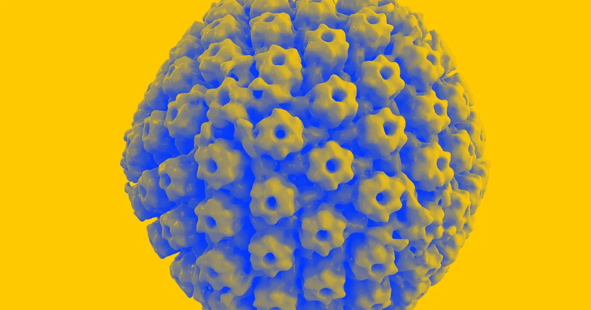 Nouvelle Étude : Le Virus de l'Herpès Pourrait Accélérer l'Apparition de la Maladie d'Alzheimer