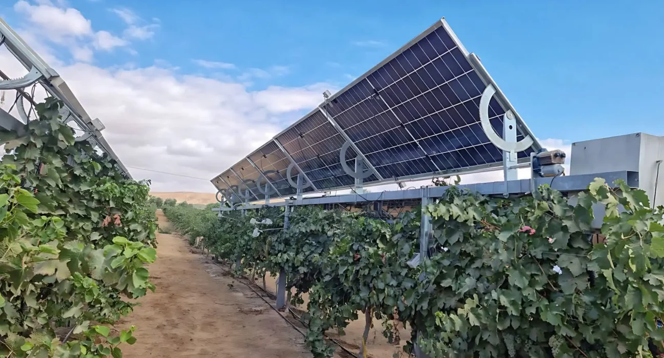 Panneaux solaires : Un atout pour la croissance des cultures et la protection contre le vent.