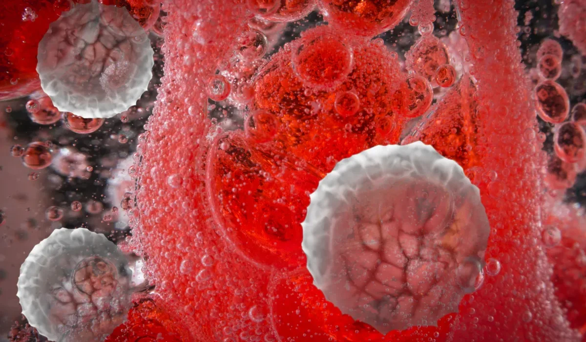 Premier Essai Clinique de CRISPR aux États-Unis : Une Nouvelle Lutte Contre le Cancer