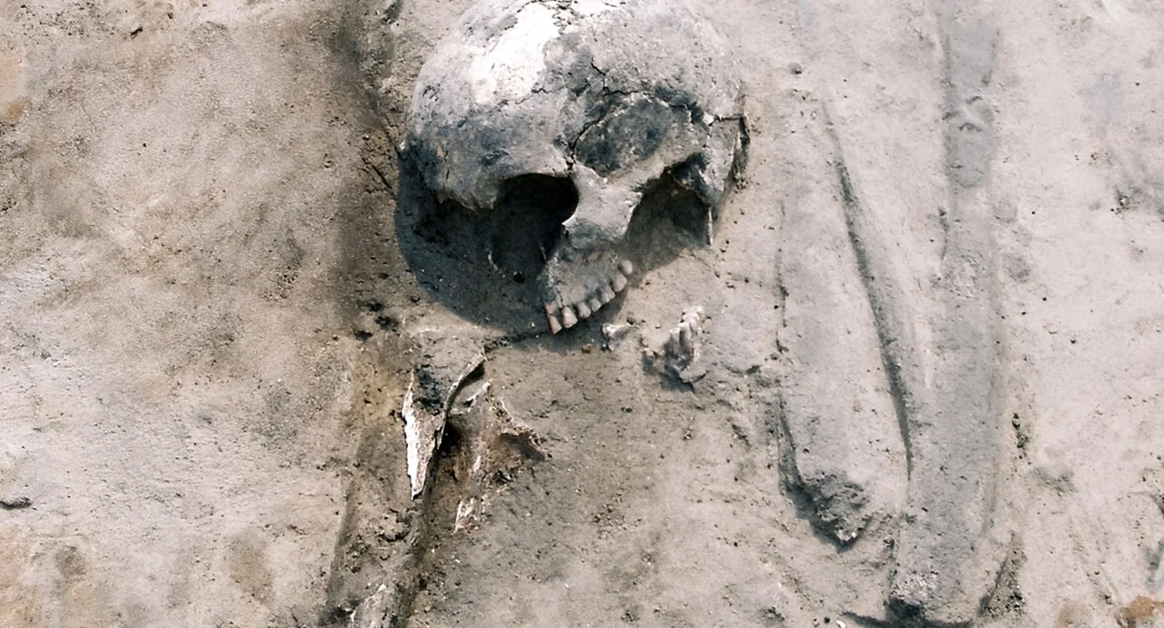 Que Mangeaient les Européens Préhistoriques ? Des Révélations Surprenantes des Scientifiques