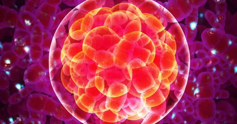 Sondage : Deux tiers des Américains favorables à l'édition génétique pour soigner les maladies.