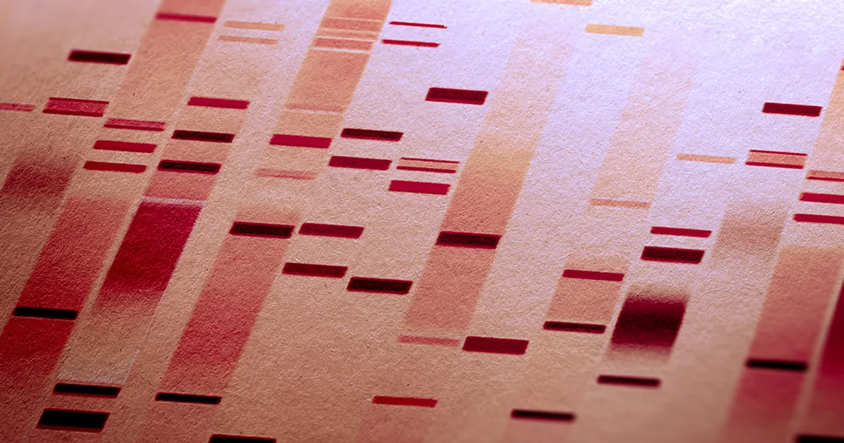 Tests ADN obligatoires pour les demandeurs d'asile : une nouvelle mesure de sécurité nationale.