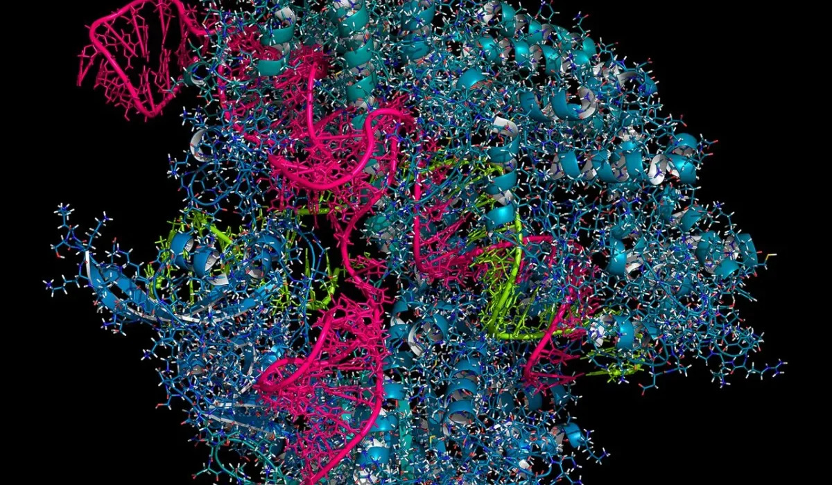 Un Outil Innovant Utilise CRISPR pour Détecter les Mutations Génétiques et les Infections.