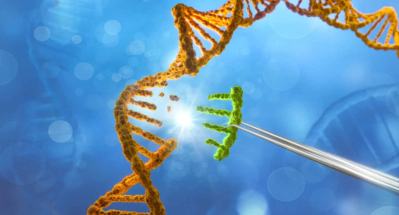 Un nouvel outil d'édition génétique pour éliminer l'ADN cancéreux sans nuire aux cellules saines.