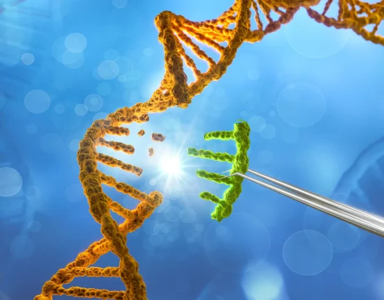 Un nouvel outil d'édition génétique pour éliminer l'ADN cancéreux sans nuire aux cellules saines.