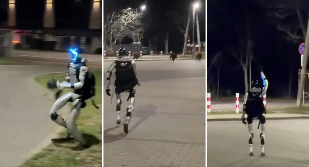 Un robot humanoïde pourchasse des sangliers dans un quartier : une vidéo devenue virale.