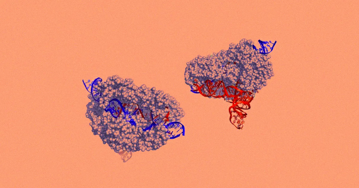 Une Nouvelle Protéine CRISPR Prometteuse pour un Édition Génétique Humaine Plus Sûre