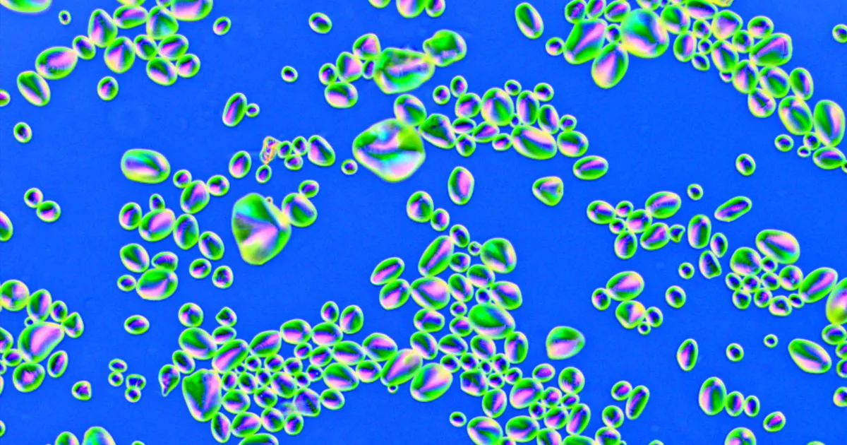 Une Thérapie Innovante Transforme les Cellules Cancéreuses du Sein en Graisse Inoffensive.