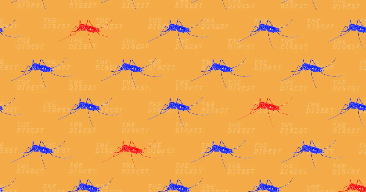 Alphabet AI Facilite la Libération de Mosquitos Stériles à Singapour