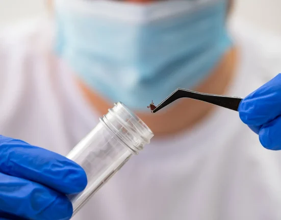 Augmentation Alarmante : 40% des tiques du Connecticut portent la maladie de Lyme en 2026