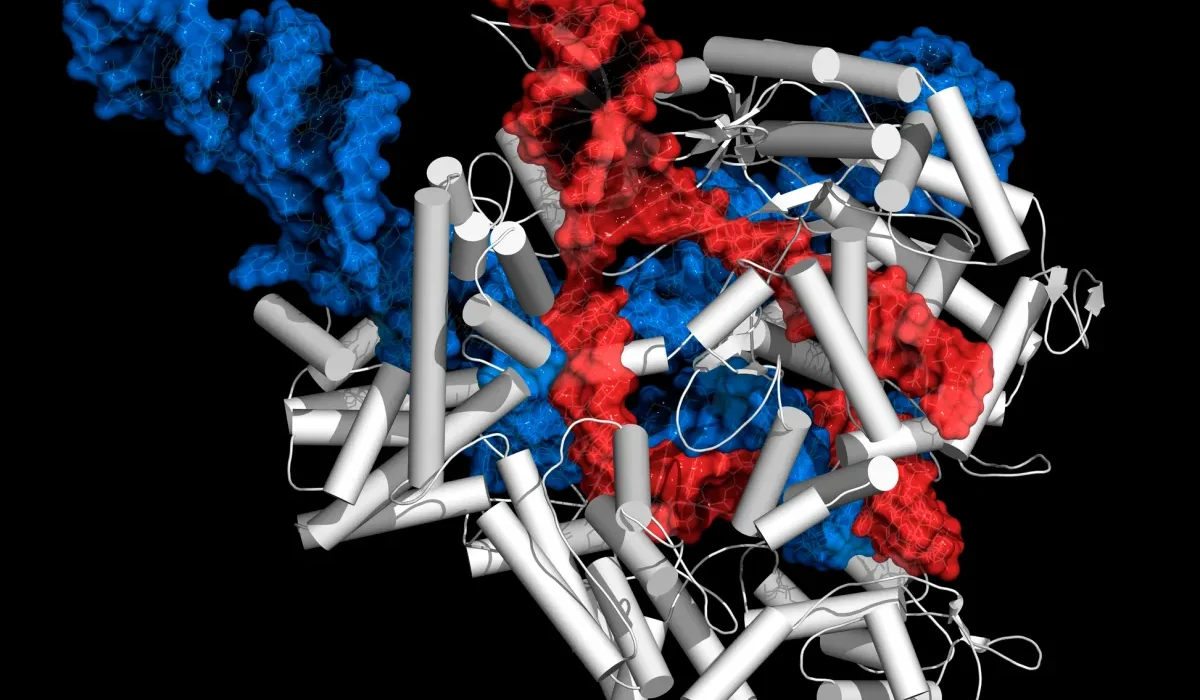 CRISPR : Sur le Seuil d'une Révolution dans la Lutte Contre les Maladies