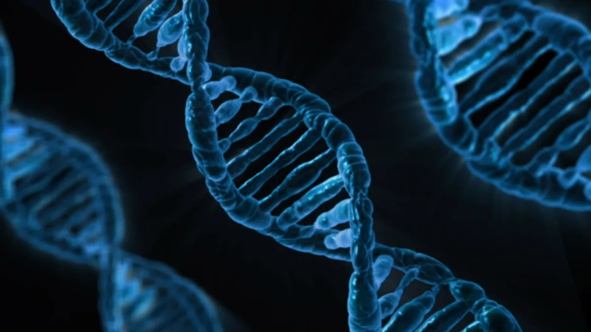 CRISPR : Une Promesse de Guérison pour la Drépanocytose