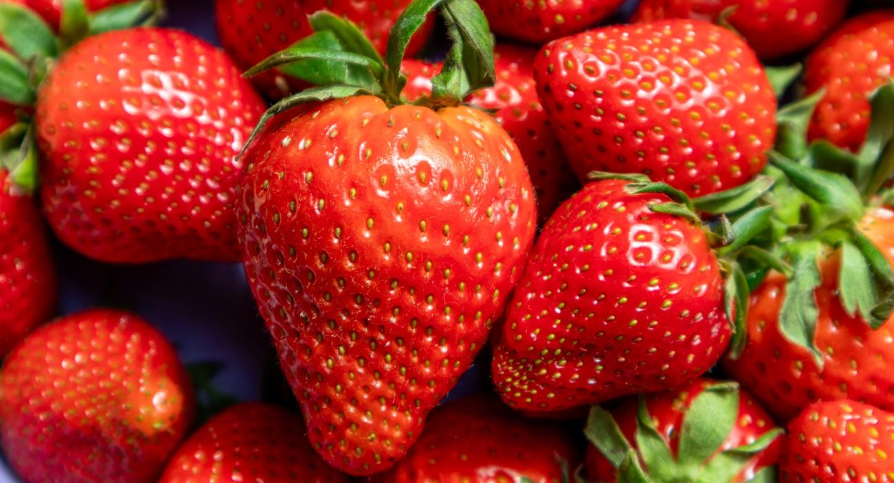 Cette Modification Génétique Transforme les Fraises en Superfruits Sains et Savoureux.