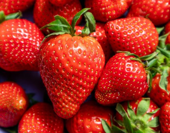 Cette Modification Génétique Transforme les Fraises en Superfruits Sains et Savoureux.