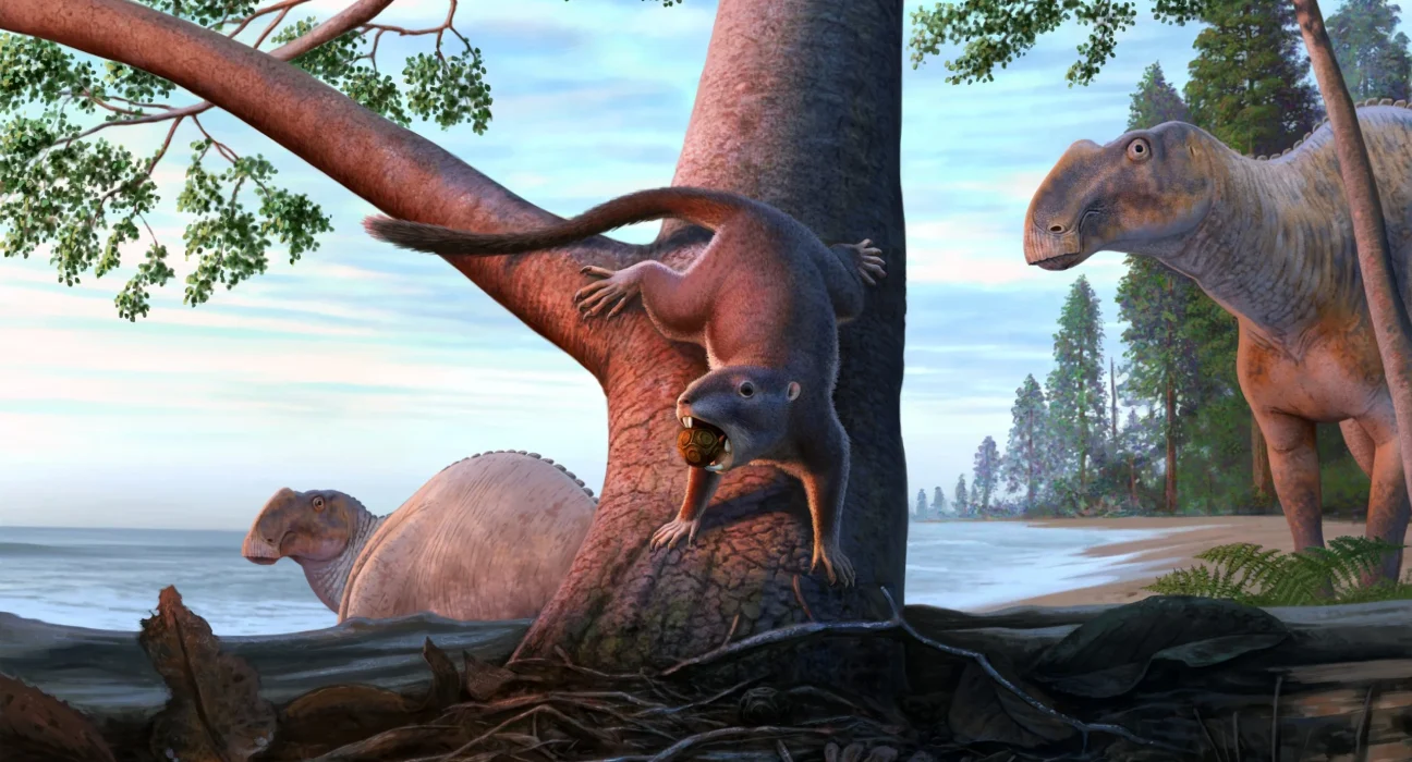 Cette Petite Créature a Survécu à un Monde de Dinosaures et a Transformé ce qui a Suivi.
