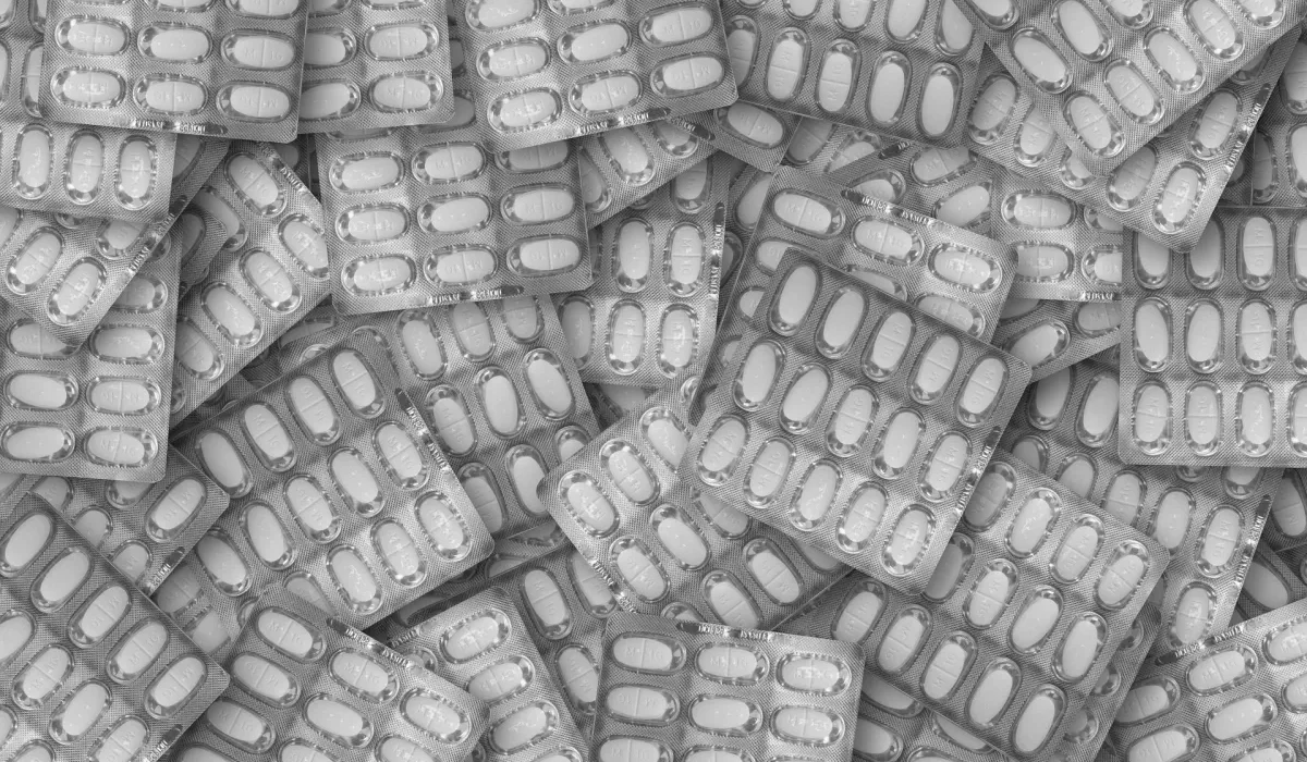 Comportements à Risque et Recherche de Drogues chez les Poissons-Zèbres Addicts aux Opioïdes