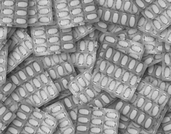 Comportements à Risque et Recherche de Drogues chez les Poissons-Zèbres Addicts aux Opioïdes