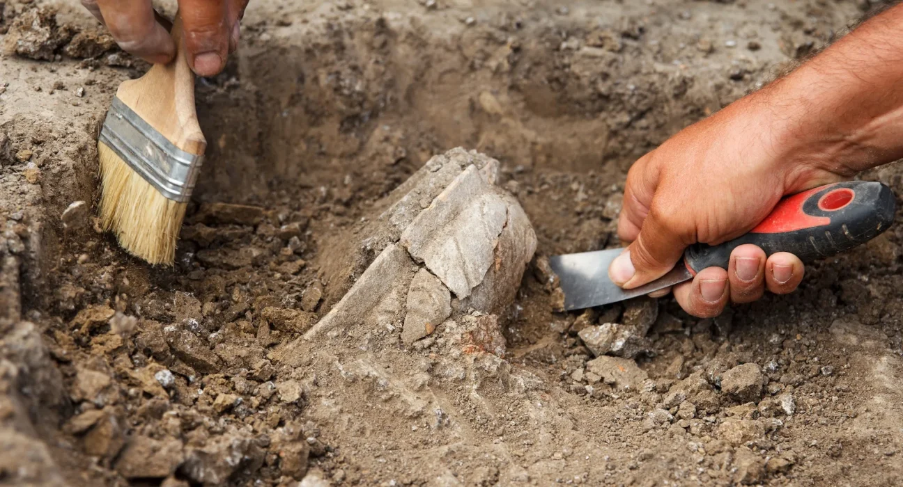 Crâne de stegosaurus exceptionnel découvert en Europe : une nouvelle vision de la dispersion des dinosaures à plaques.