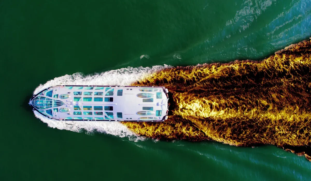 Croisière de Luxe : Une Descente Vers un Cauchemar Diarrhéique