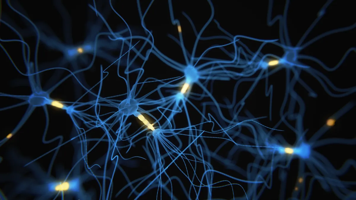 De Nouvelles Découvertes Indiquent que la Maladie d'Alzheimer Ne Détruit Pas les Souvenirs, Elle les Bloque.