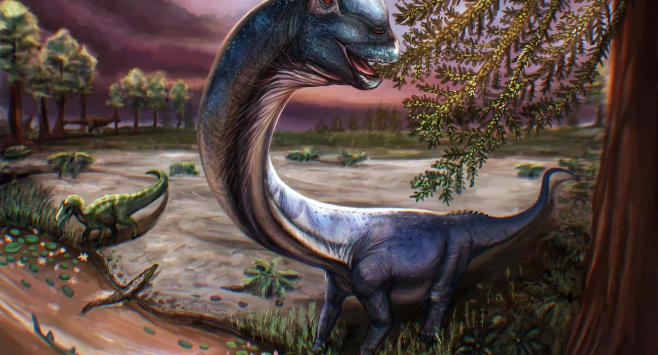 Découverte d'un Fossile de Dinosaure Colossal en Thaïlande : Plus Grand que 9 Éléphants!